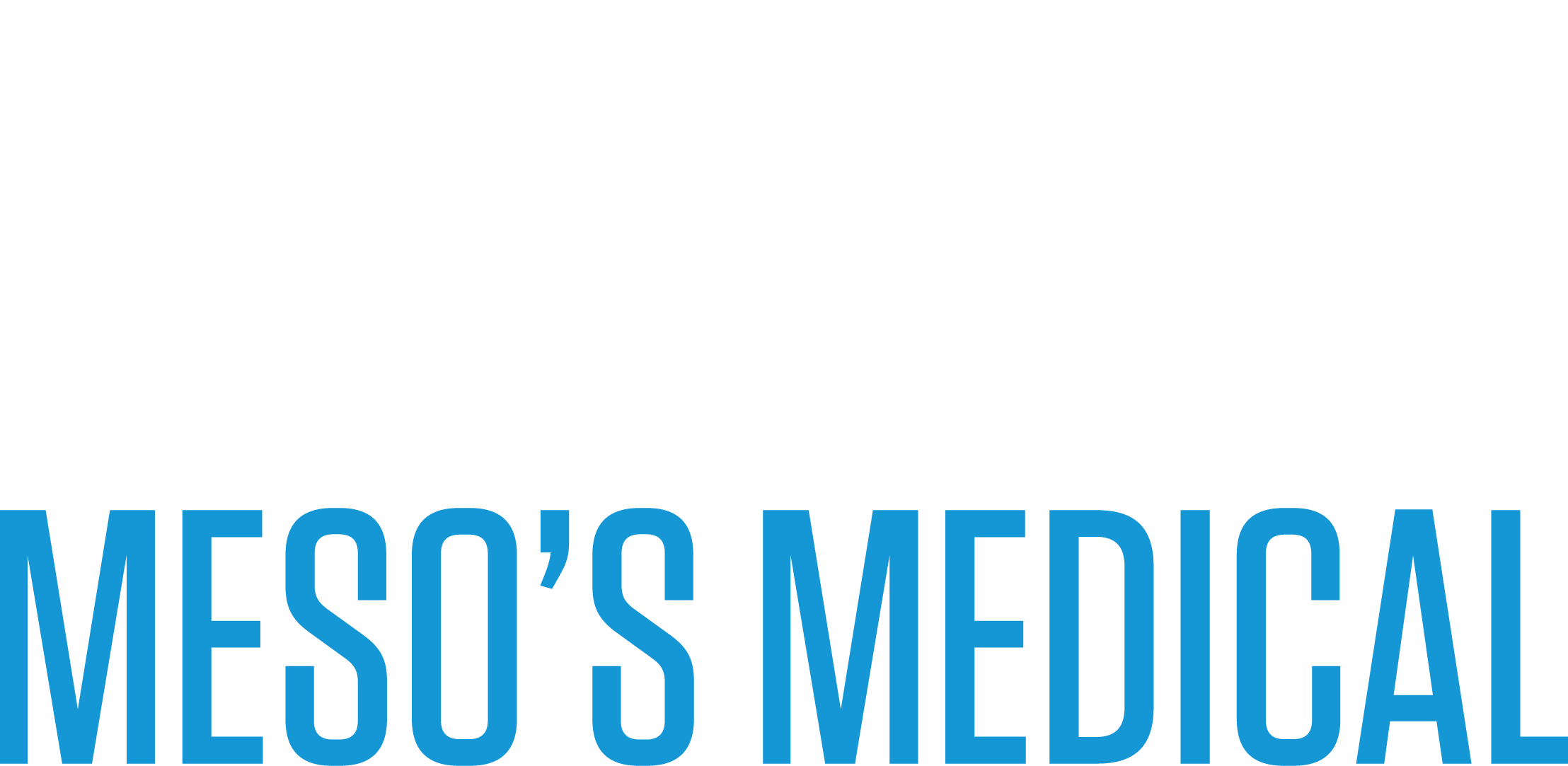 mes-logo-001